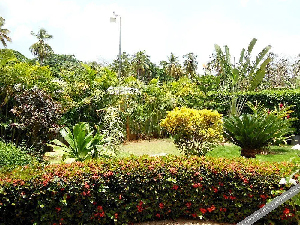 Casa Lily & Coco Aparthotel Las Terrenas 2*,  Dominican Republic