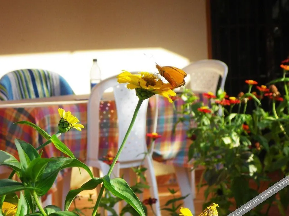 Casa Lily & Coco Aparthotel Las Terrenas