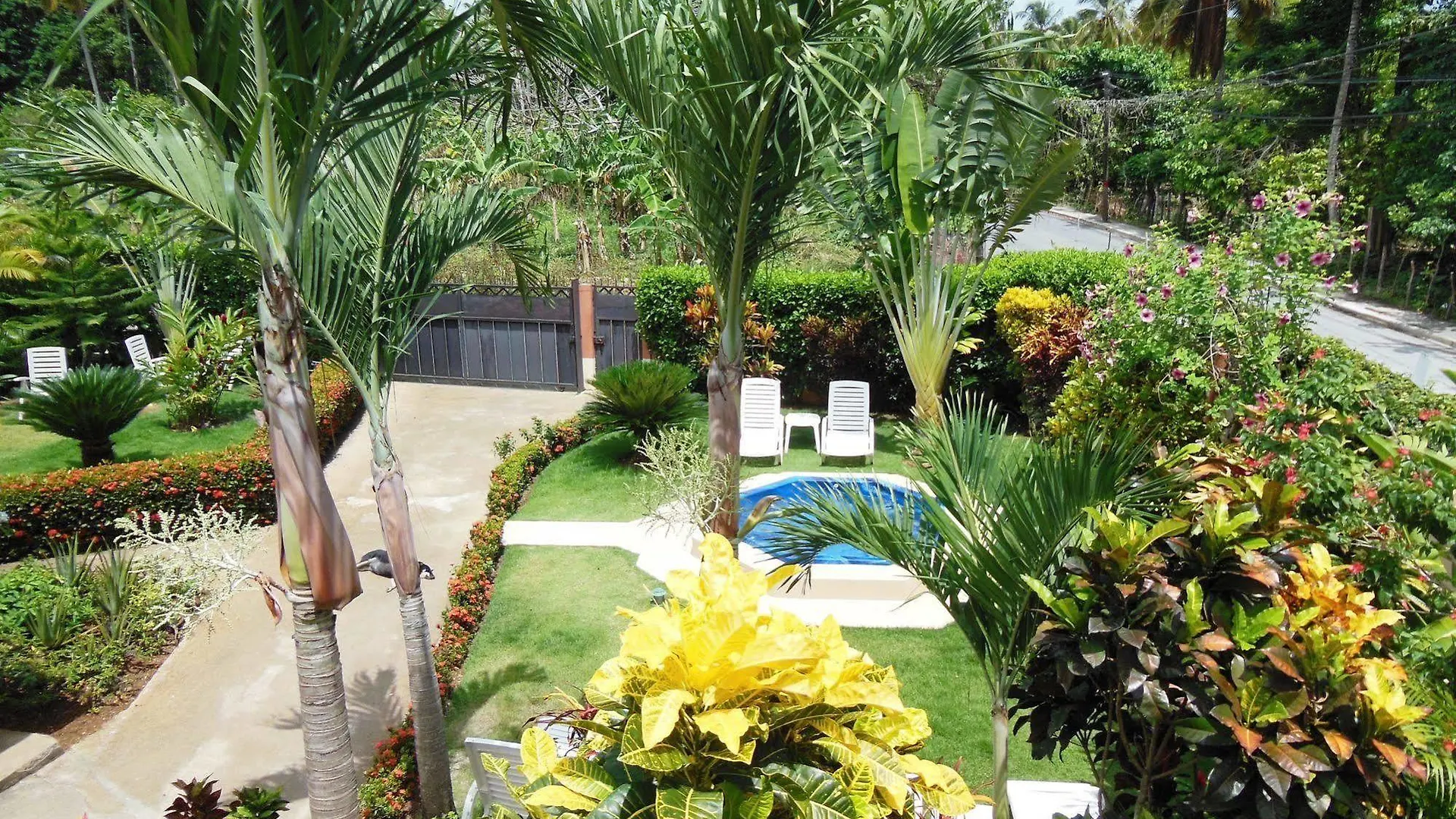 Casa Lily & Coco Aparthotel Las Terrenas