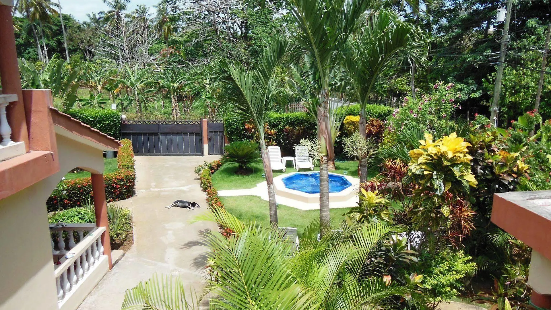Casa Lily & Coco Aparthotel Las Terrenas