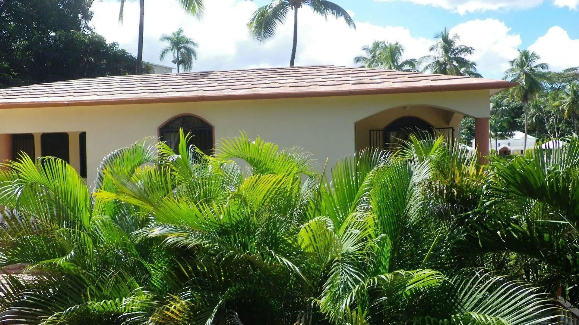 Casa Lily & Coco Aparthotel Las Terrenas Dominican Republic